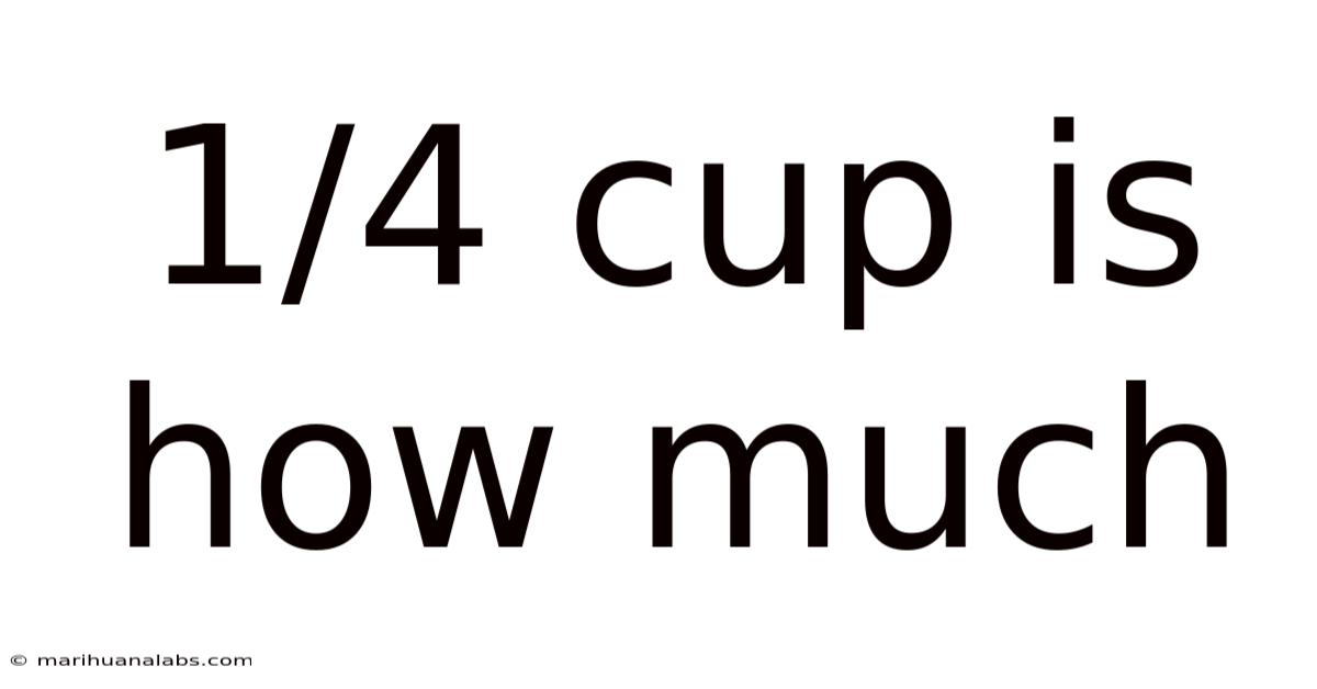 1/4 Cup Is How Much