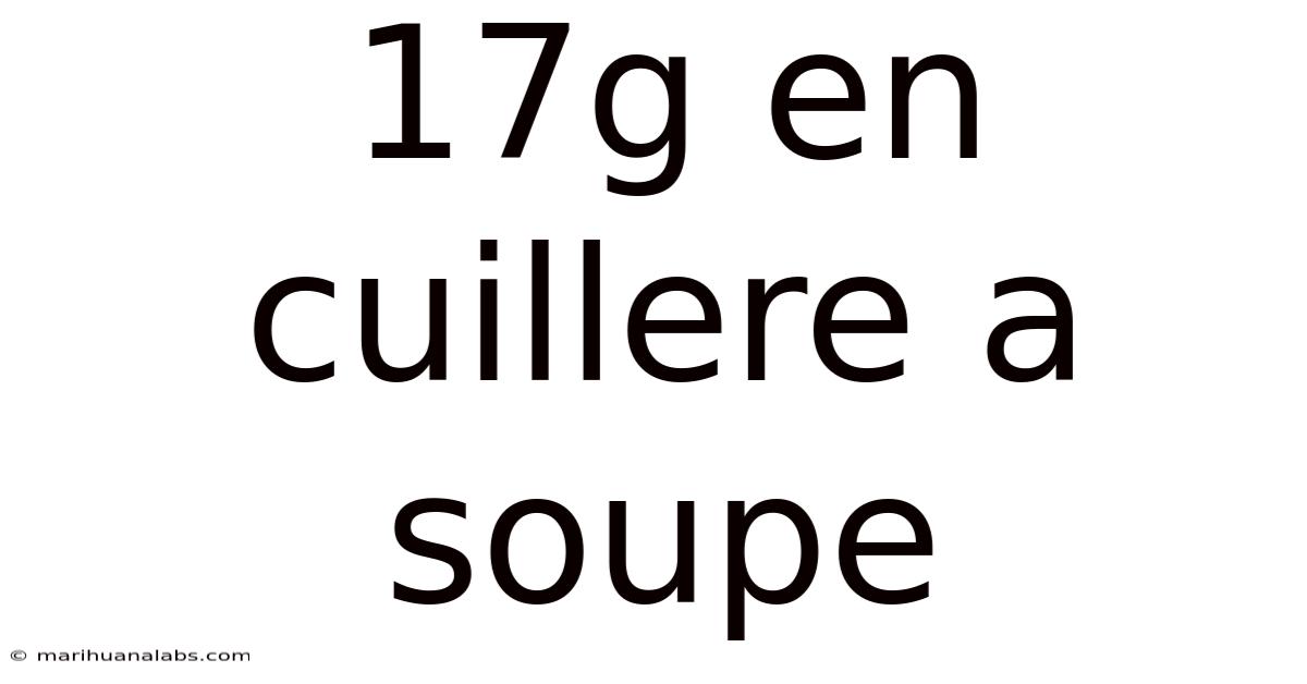 17g En Cuillere A Soupe