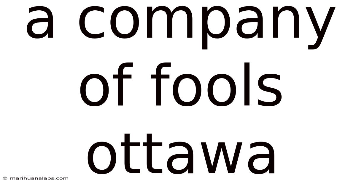 A Company Of Fools Ottawa