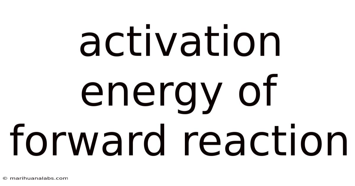 Activation Energy Of Forward Reaction