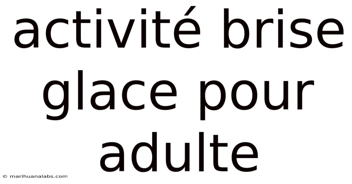 Activité Brise Glace Pour Adulte