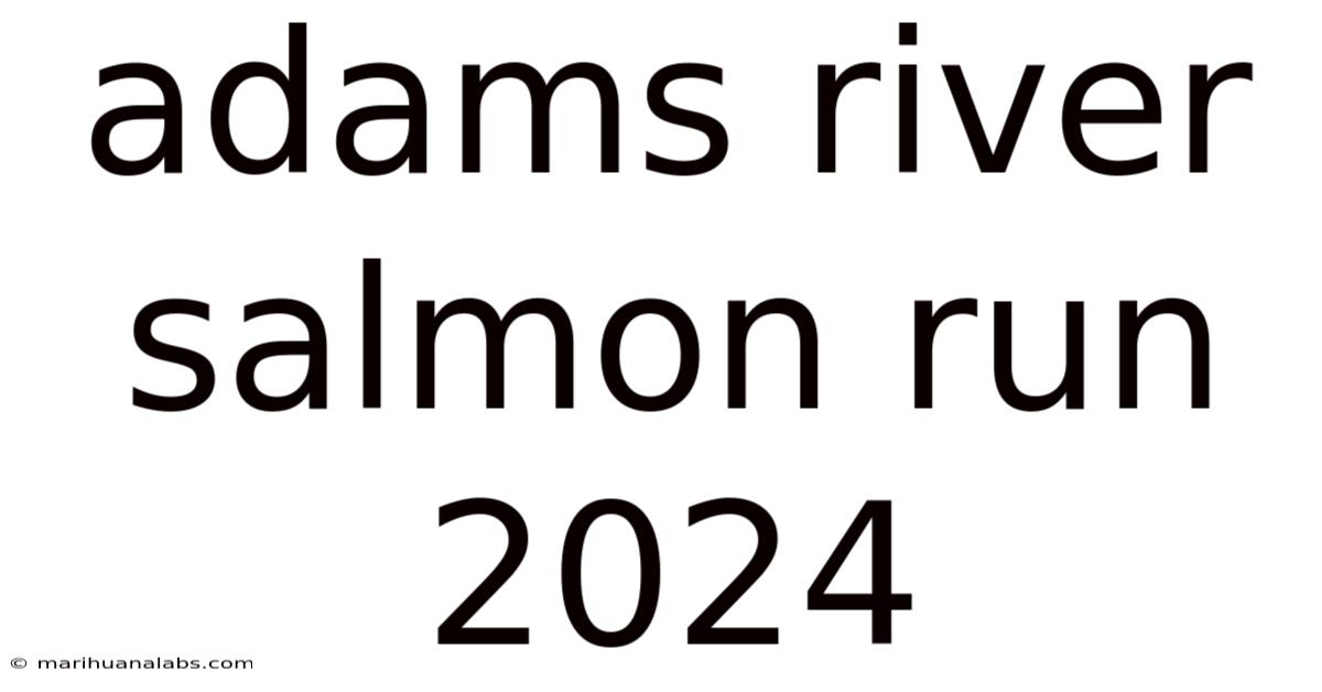 Adams River Salmon Run 2024