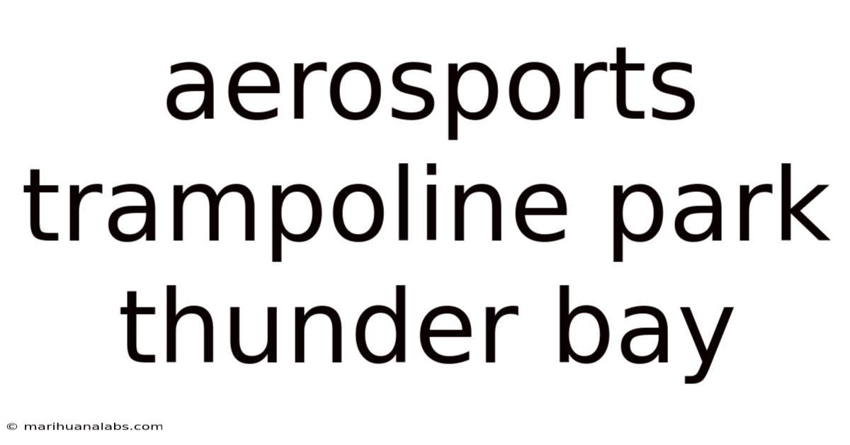 Aerosports Trampoline Park Thunder Bay
