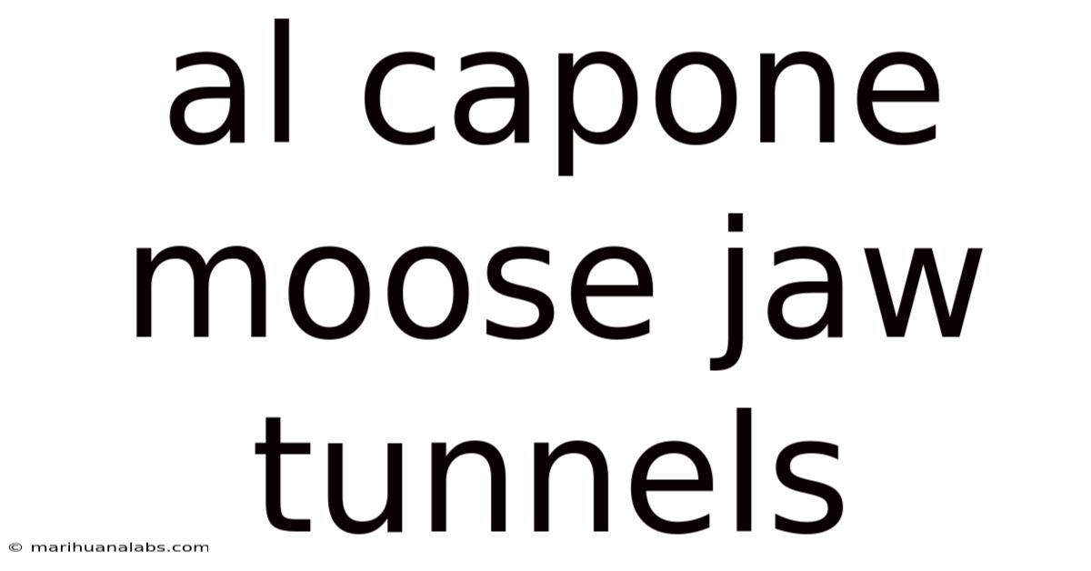 Al Capone Moose Jaw Tunnels