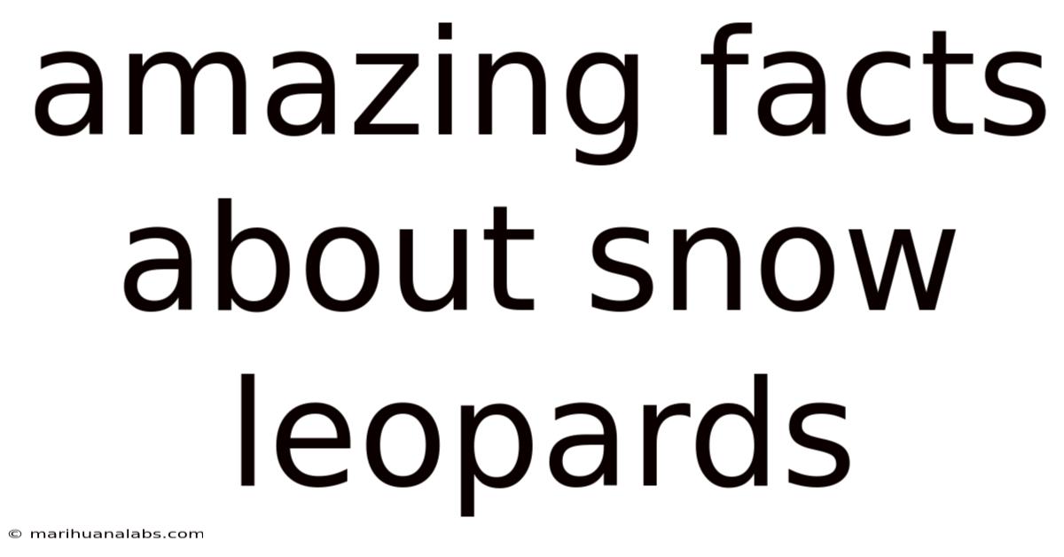 Amazing Facts About Snow Leopards