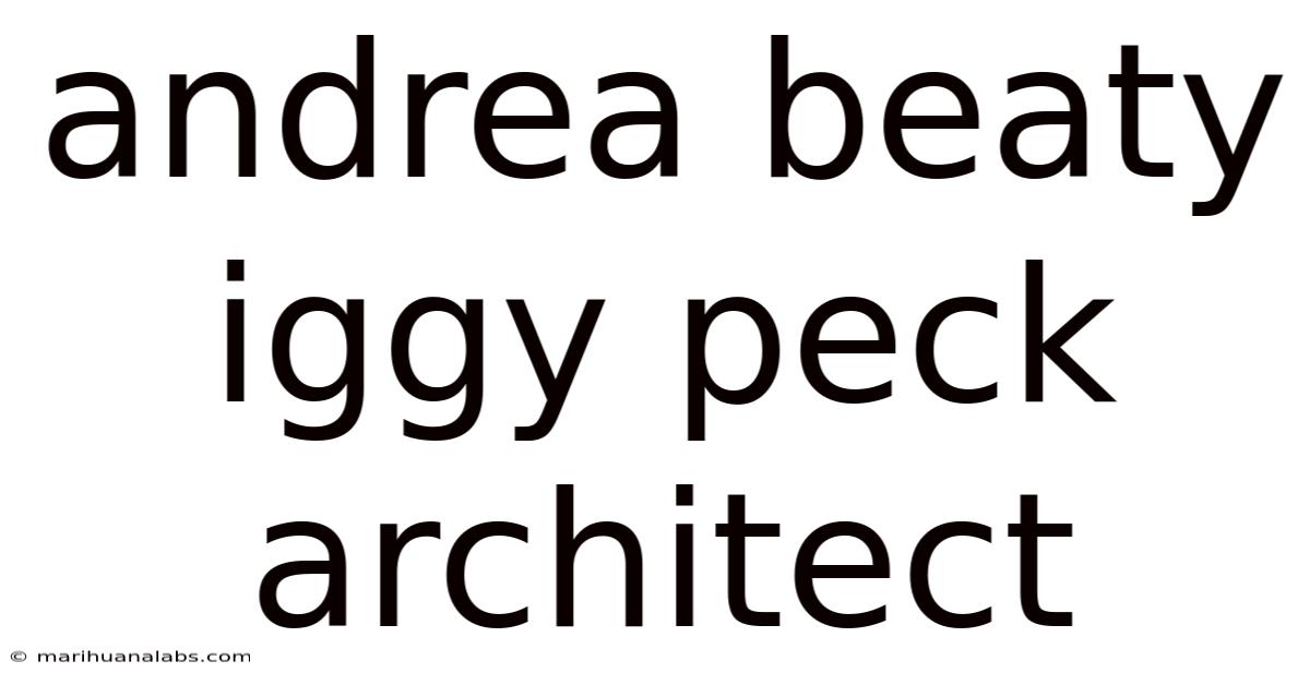 Andrea Beaty Iggy Peck Architect