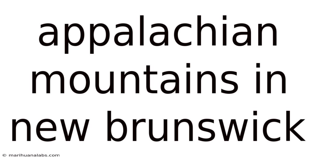 Appalachian Mountains In New Brunswick