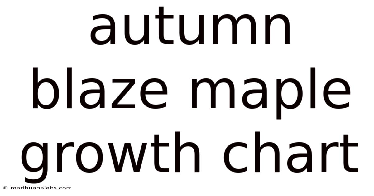 Autumn Blaze Maple Growth Chart