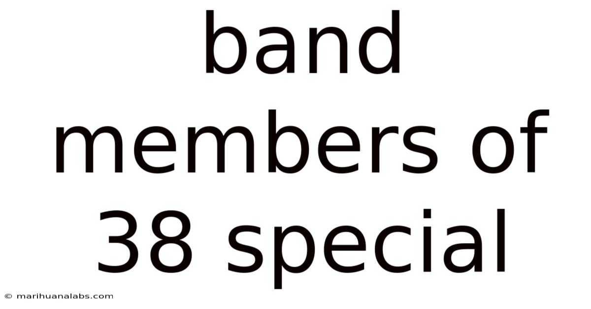 Band Members Of 38 Special