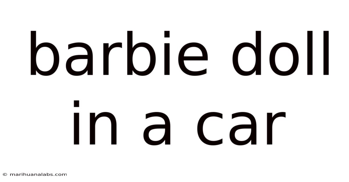 Barbie Doll In A Car