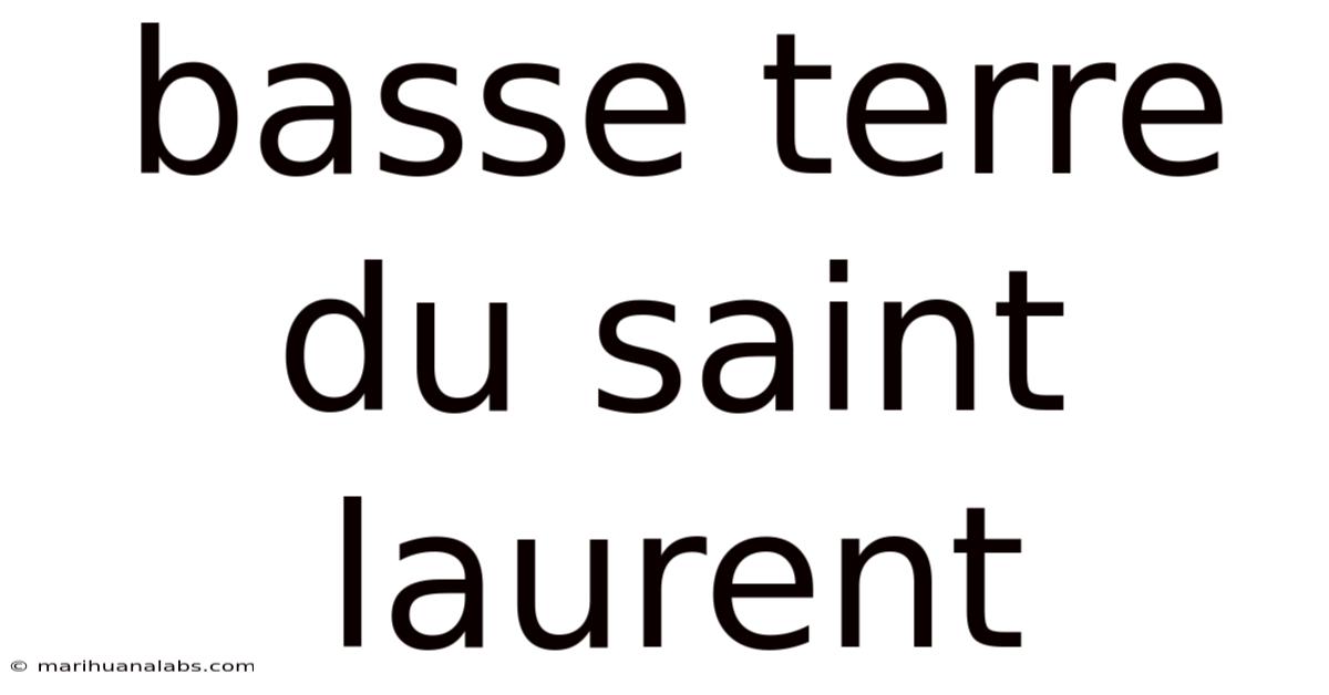 Basse Terre Du Saint Laurent