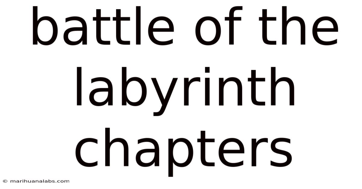 Battle Of The Labyrinth Chapters
