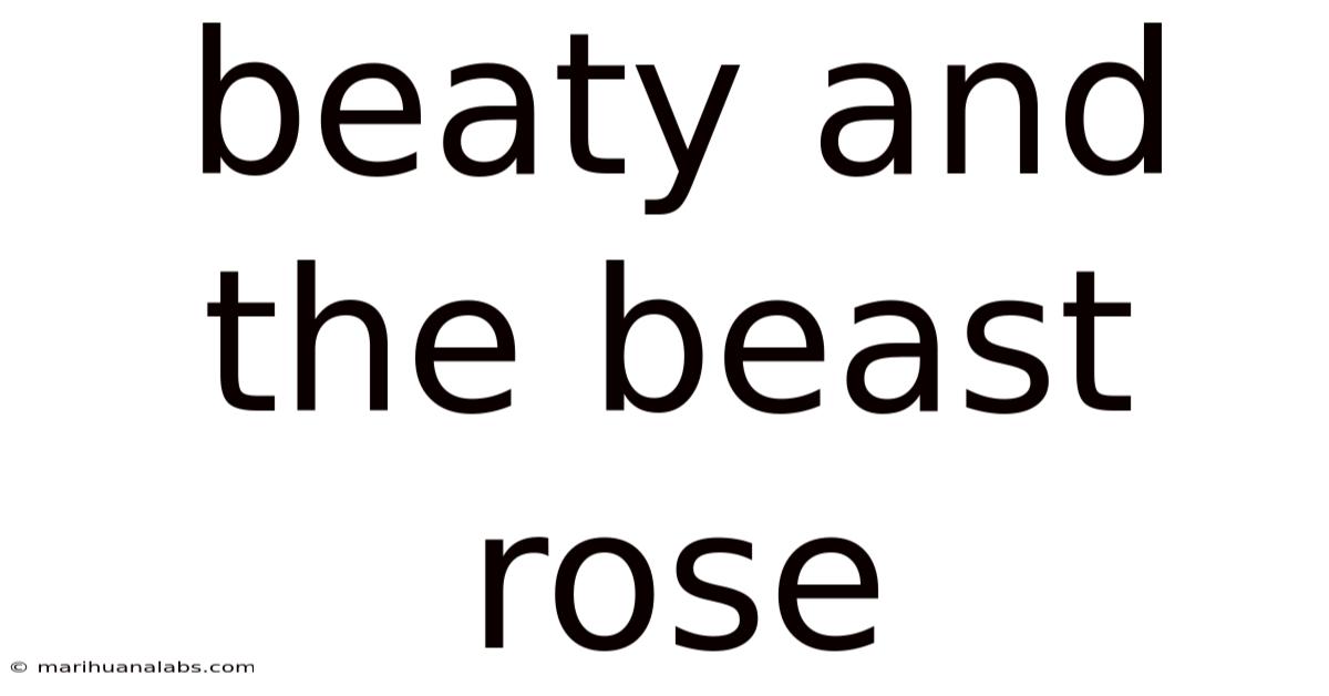Beaty And The Beast Rose
