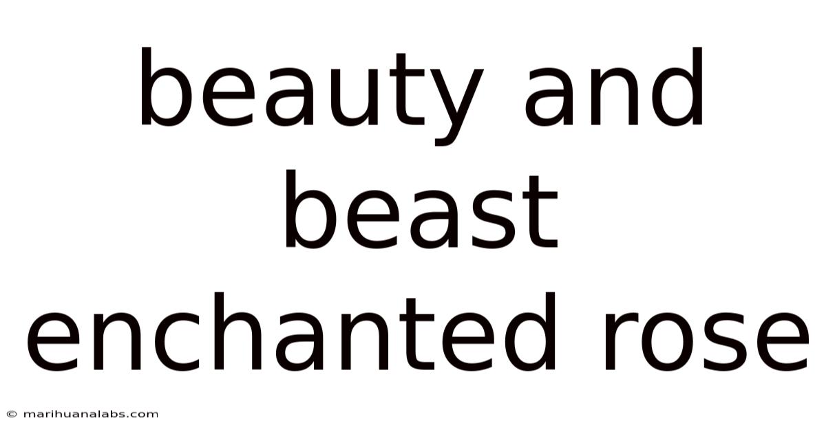 Beauty And Beast Enchanted Rose