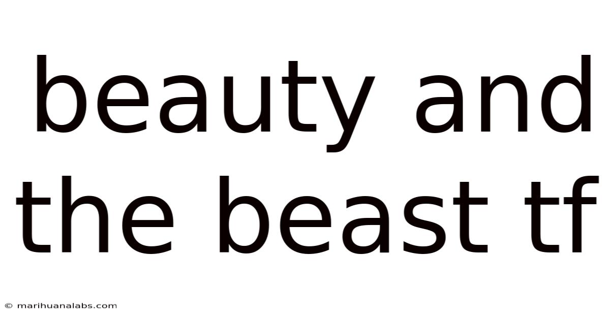 Beauty And The Beast Tf