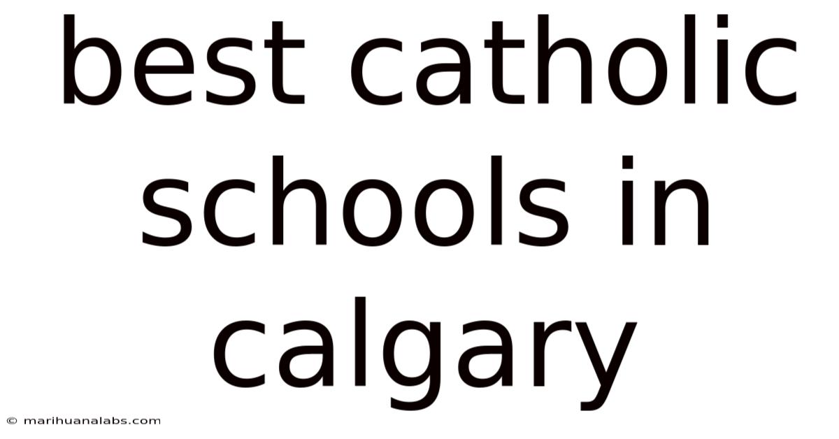 Best Catholic Schools In Calgary