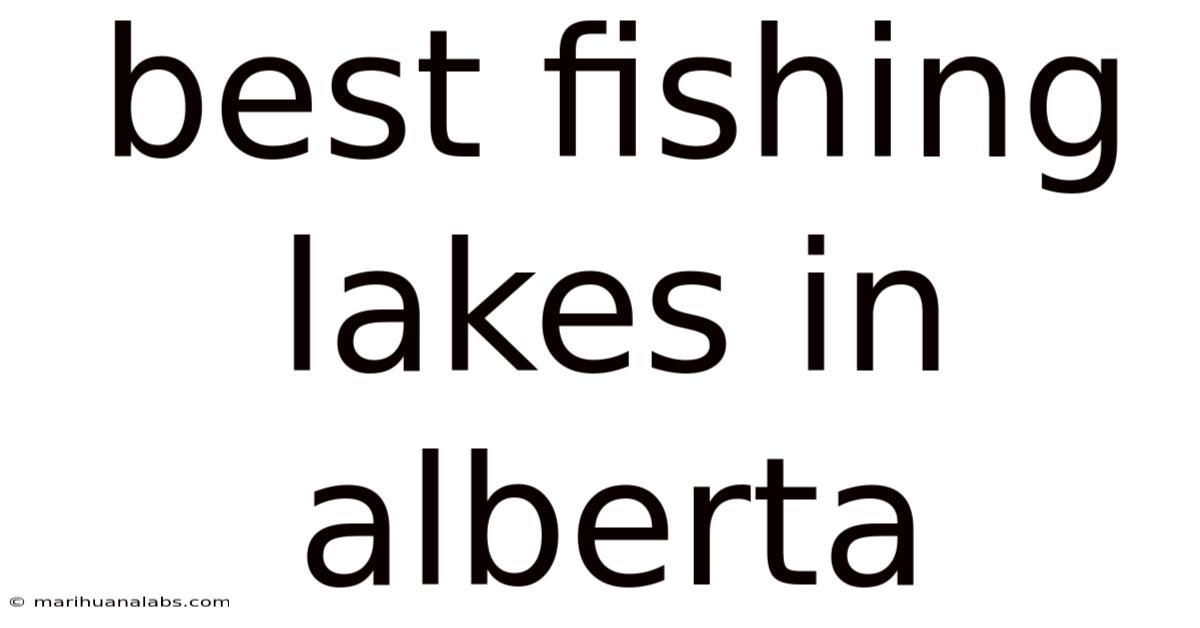 Best Fishing Lakes In Alberta