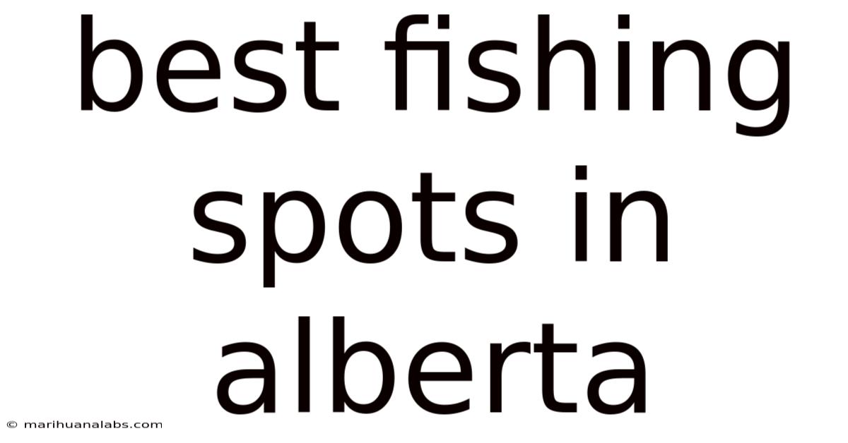 Best Fishing Spots In Alberta