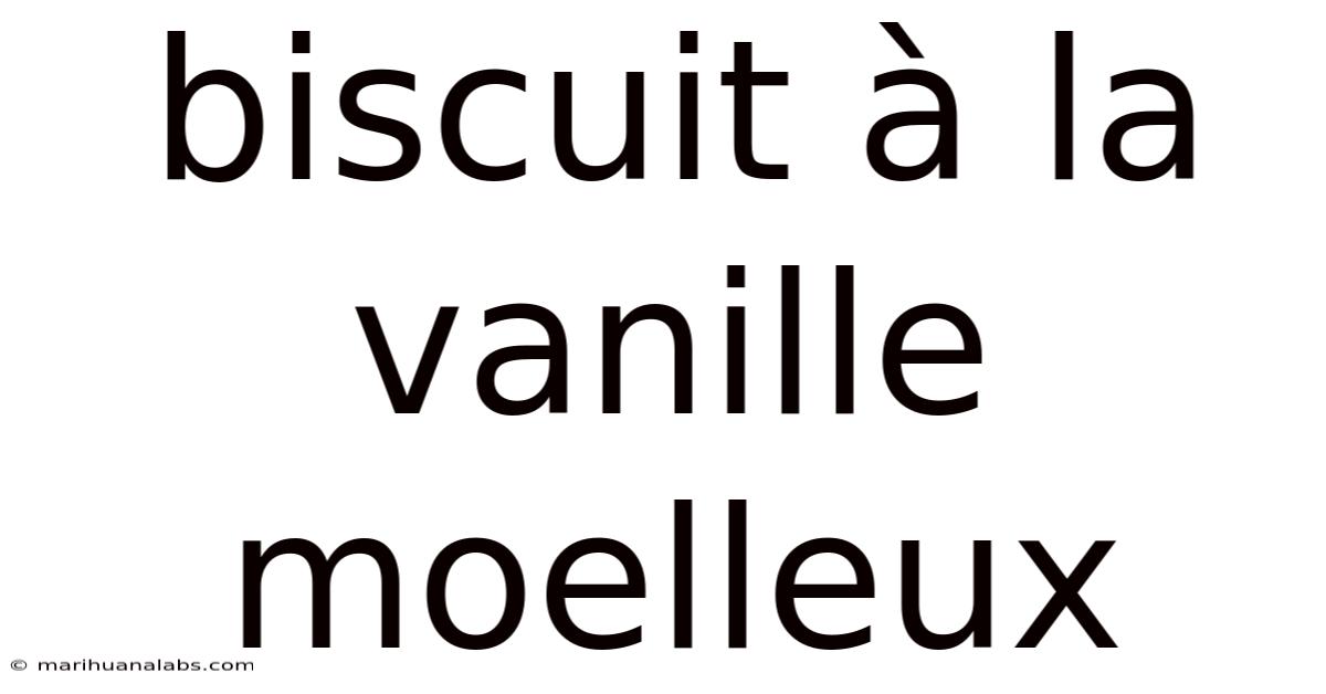 Biscuit À La Vanille Moelleux