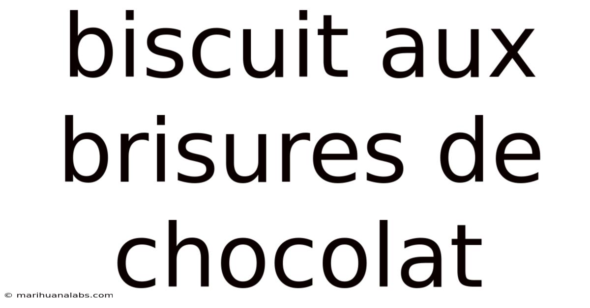 Biscuit Aux Brisures De Chocolat
