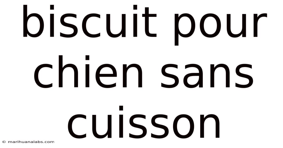 Biscuit Pour Chien Sans Cuisson