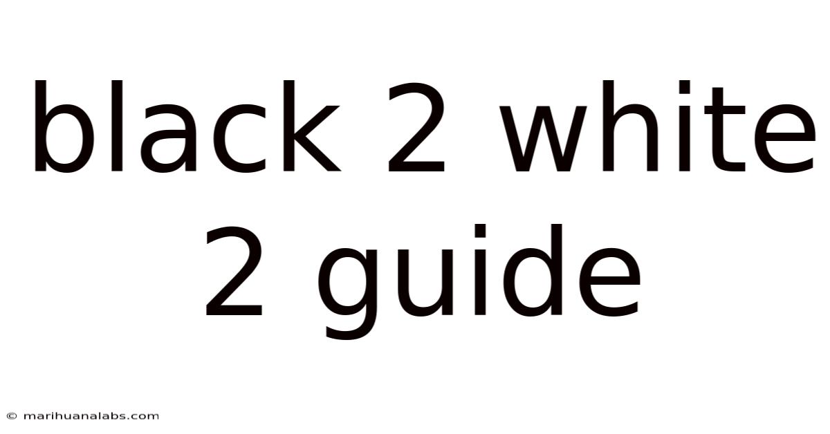 Black 2 White 2 Guide