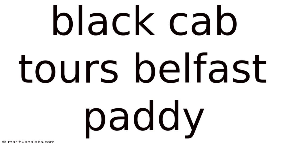 Black Cab Tours Belfast Paddy