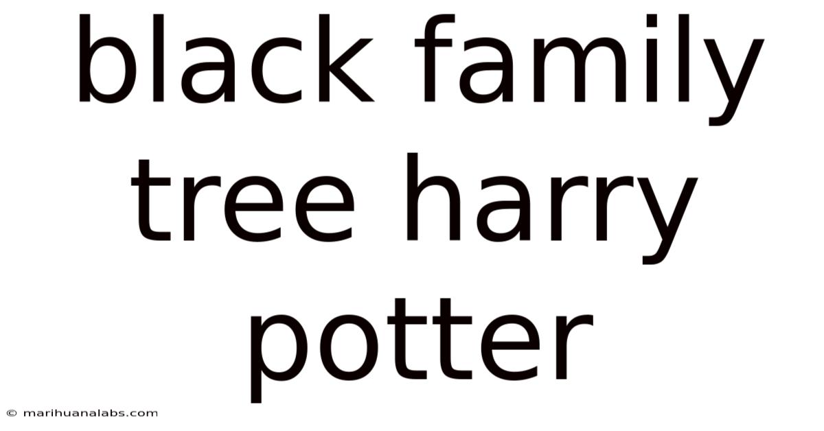 Black Family Tree Harry Potter