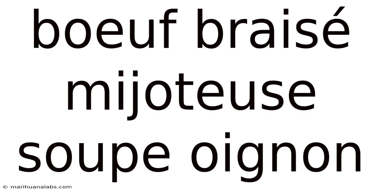 Boeuf Braisé Mijoteuse Soupe Oignon