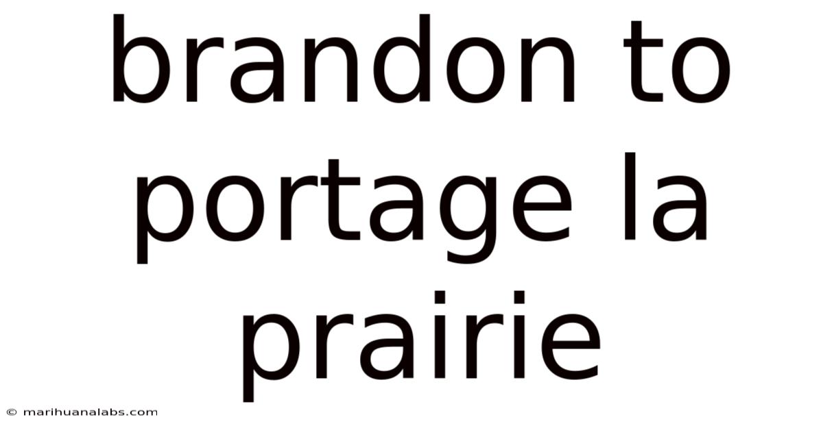 Brandon To Portage La Prairie