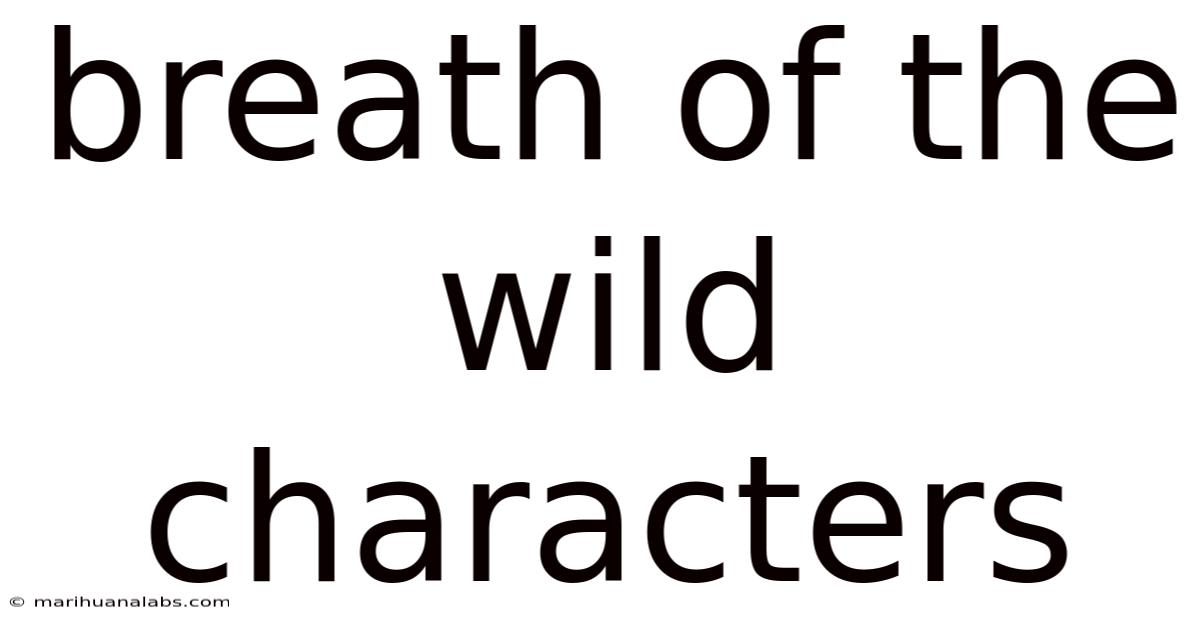 Breath Of The Wild Characters