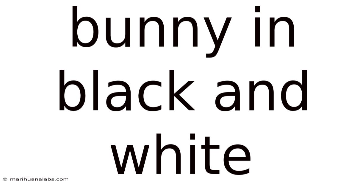 Bunny In Black And White
