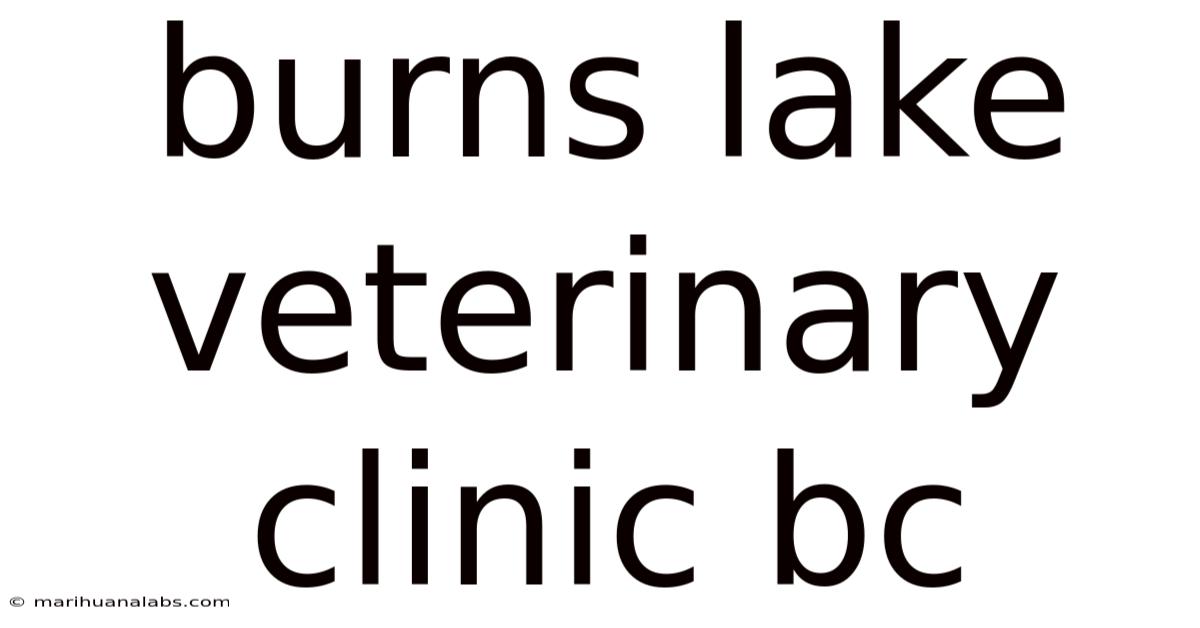 Burns Lake Veterinary Clinic Bc