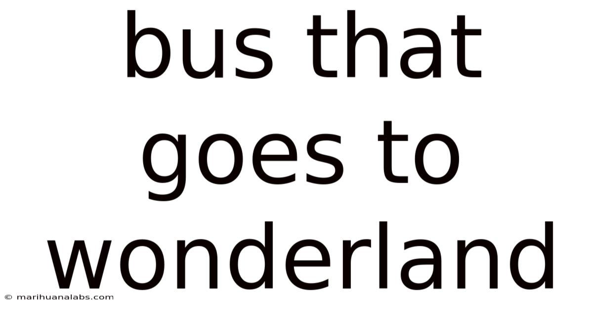 Bus That Goes To Wonderland