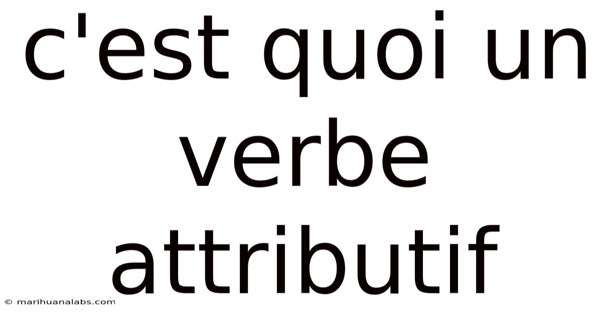 C'est Quoi Un Verbe Attributif