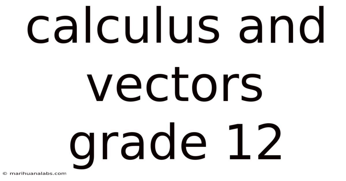 Calculus And Vectors Grade 12