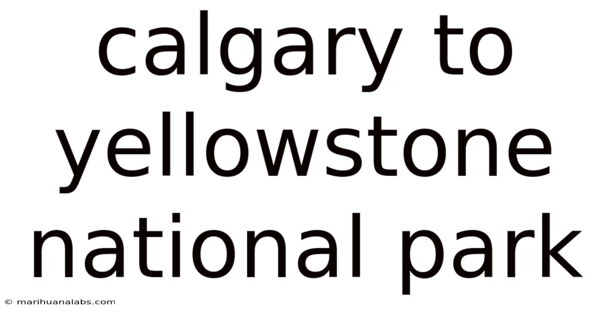 Calgary To Yellowstone National Park