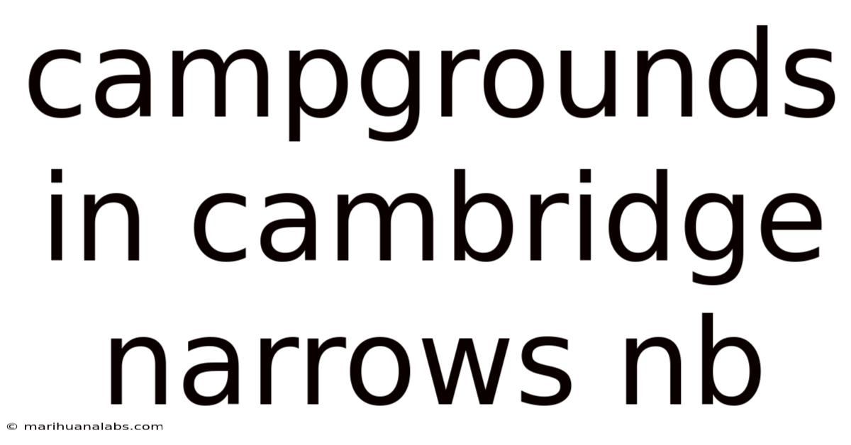 Campgrounds In Cambridge Narrows Nb