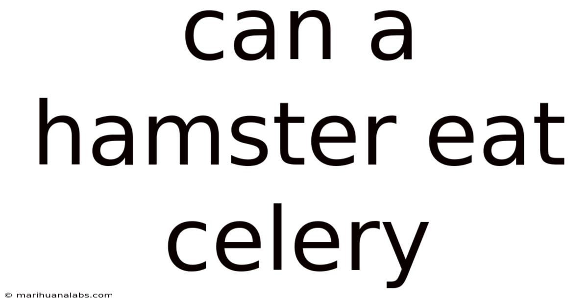 Can A Hamster Eat Celery