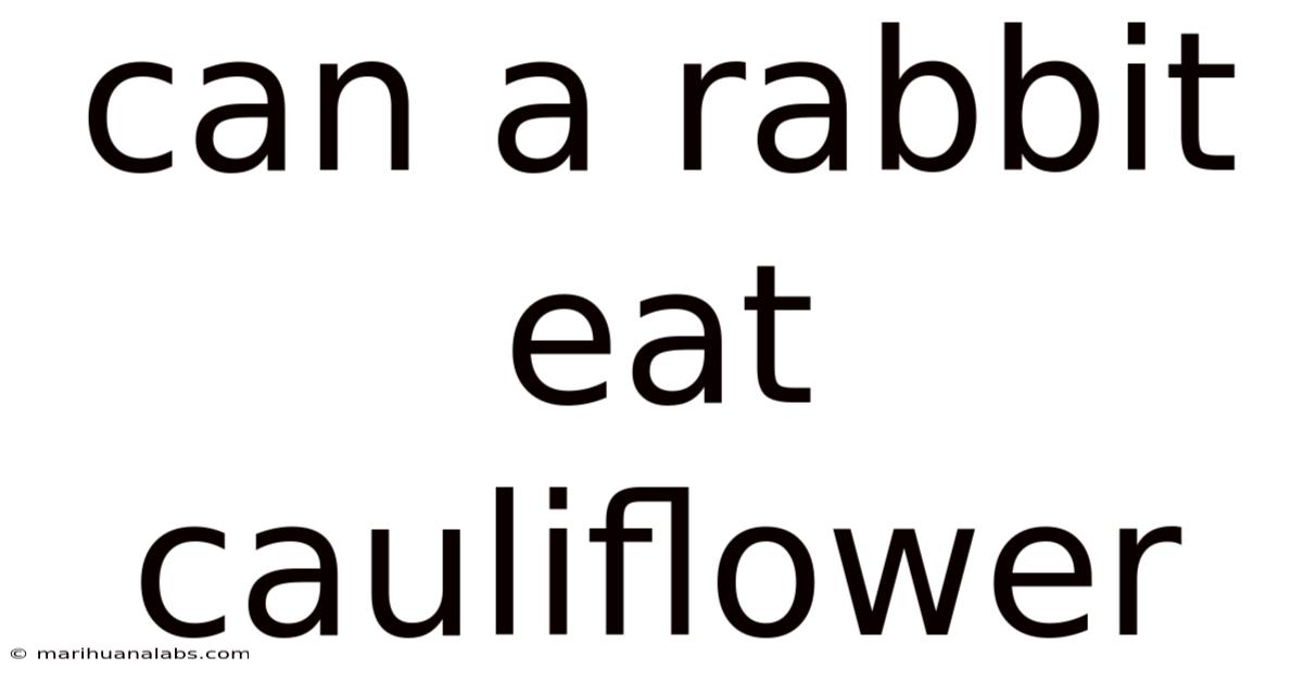 Can A Rabbit Eat Cauliflower