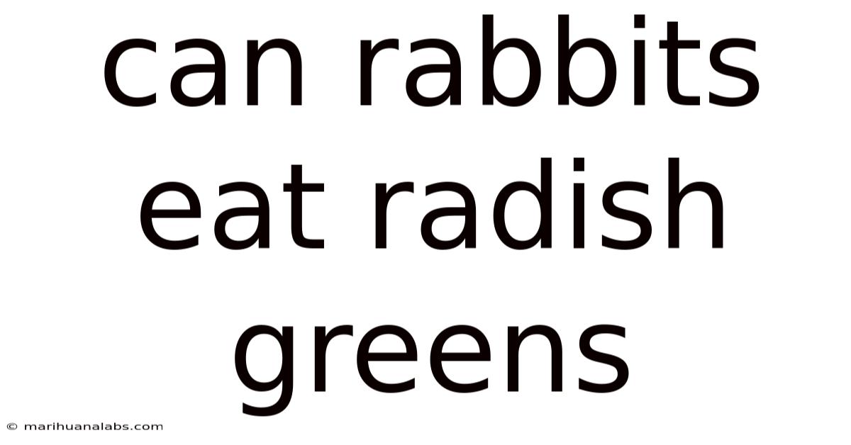 Can Rabbits Eat Radish Greens