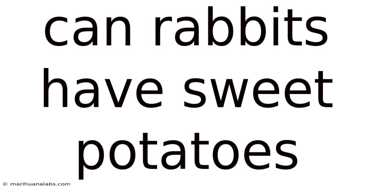 Can Rabbits Have Sweet Potatoes