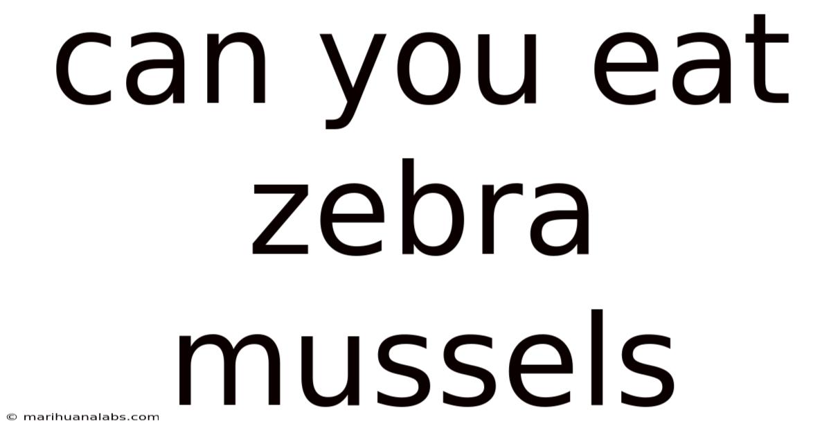 Can You Eat Zebra Mussels