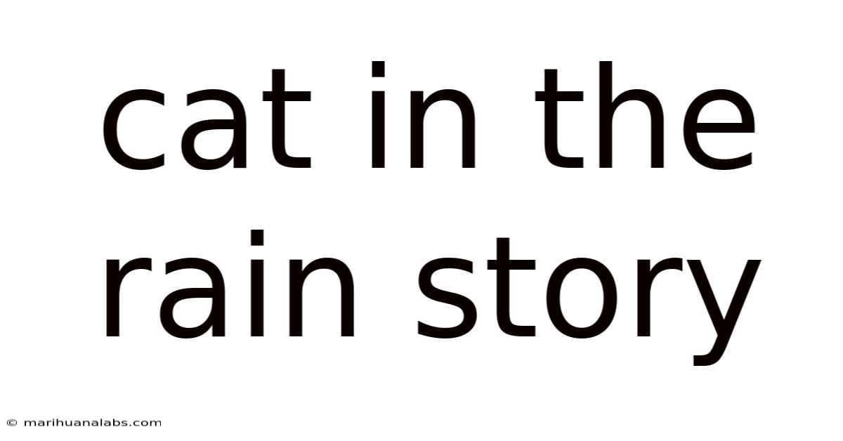 Cat In The Rain Story