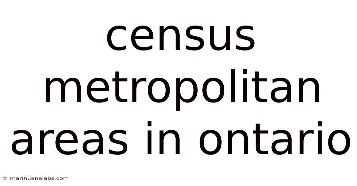 Census Metropolitan Areas In Ontario