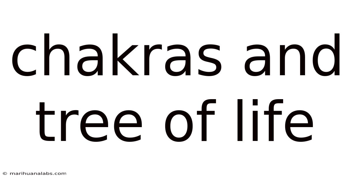 Chakras And Tree Of Life
