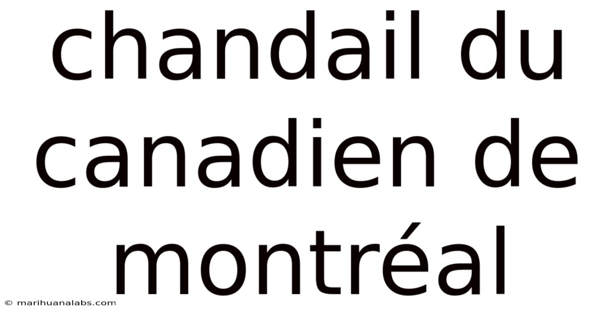 Chandail Du Canadien De Montréal