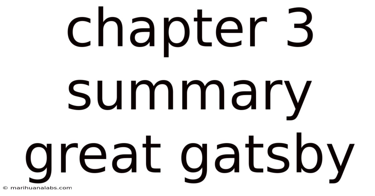 Chapter 3 Summary Great Gatsby