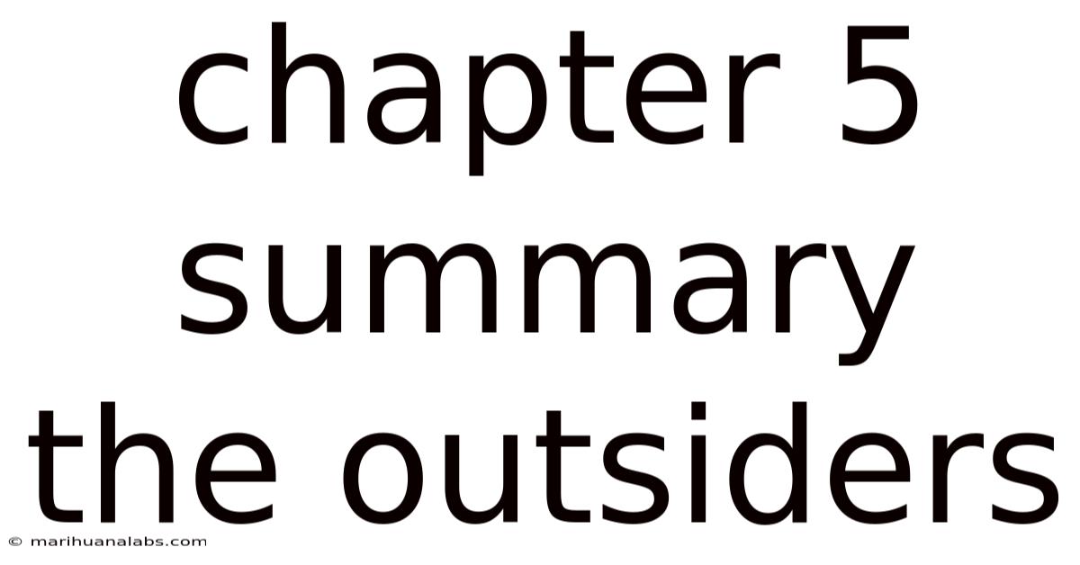 Chapter 5 Summary The Outsiders