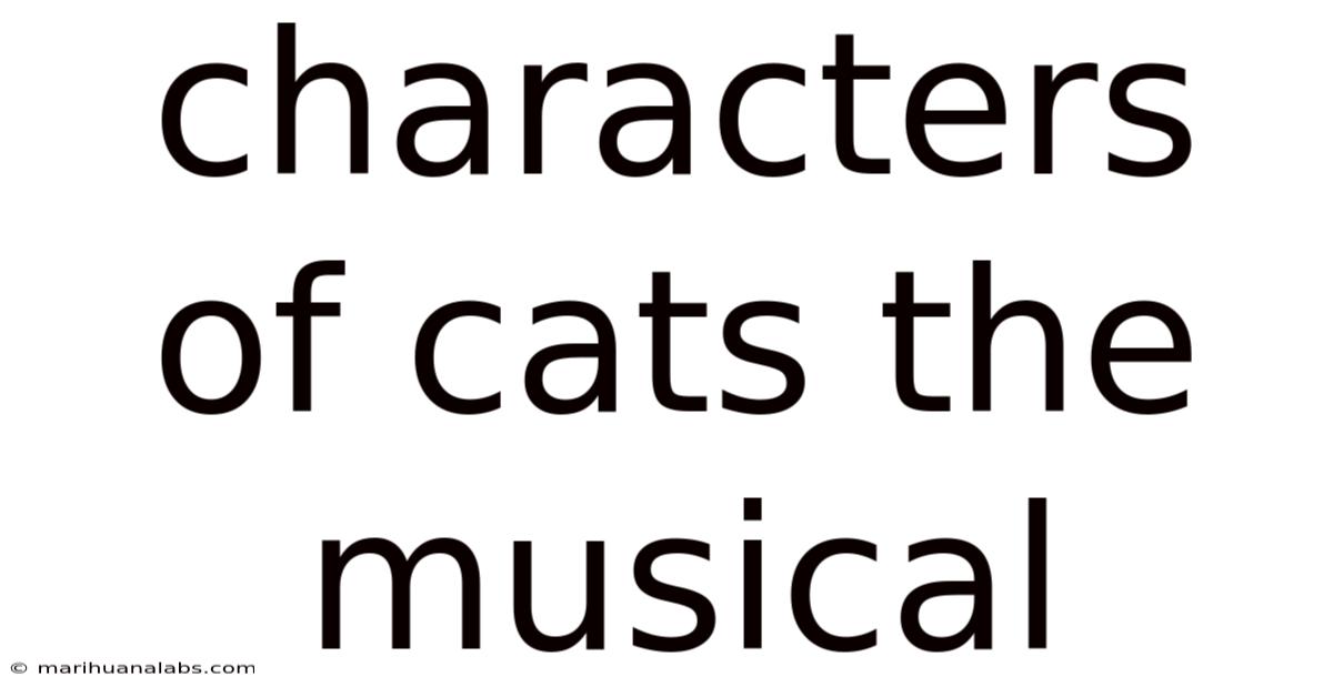 Characters Of Cats The Musical